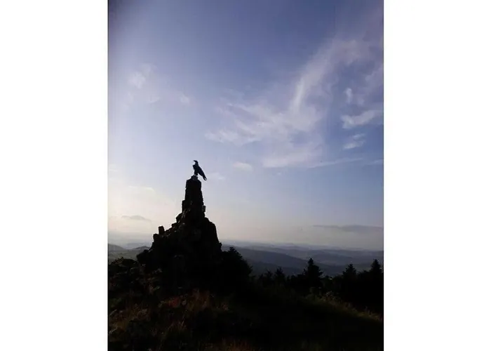 Vakantiehuis Am Park Comfortable Petersberg (Hessen)