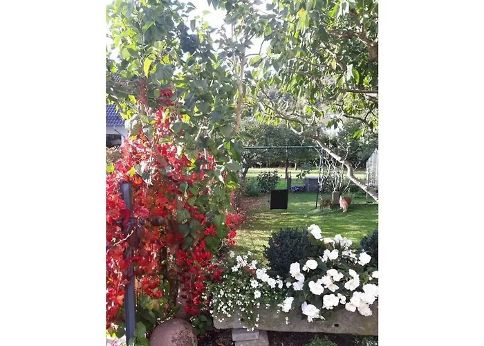 Vakantiehuis Am Park Comfortable Petersberg (Hessen)