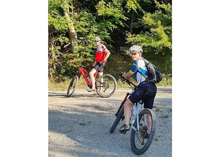 Vakantiehuis Am Park Comfortable *