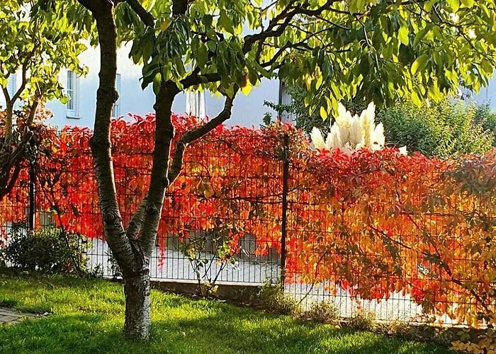 Am Park Comfortable Vakantiehuis